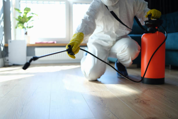 Reliable Sewage Cleanup contractor in Coulterville, IL by Trauma Clean Pros